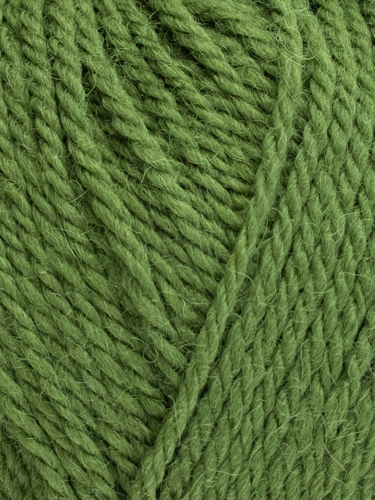 West Yorkshire Spinner ColourLab Aran 100g