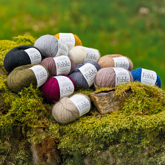 West Yorkshire Spinners Fable Aran 100g