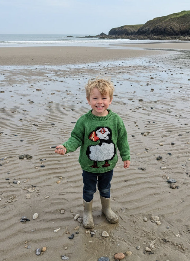 Hand Knitted Pembrokeshire Puffin Jumper - Baby to Child