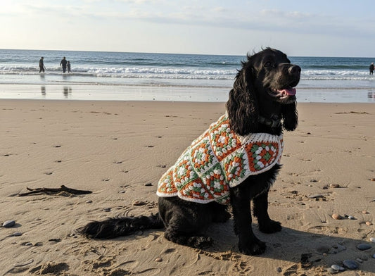 Hand Crochet Granny Square Dog Jumper